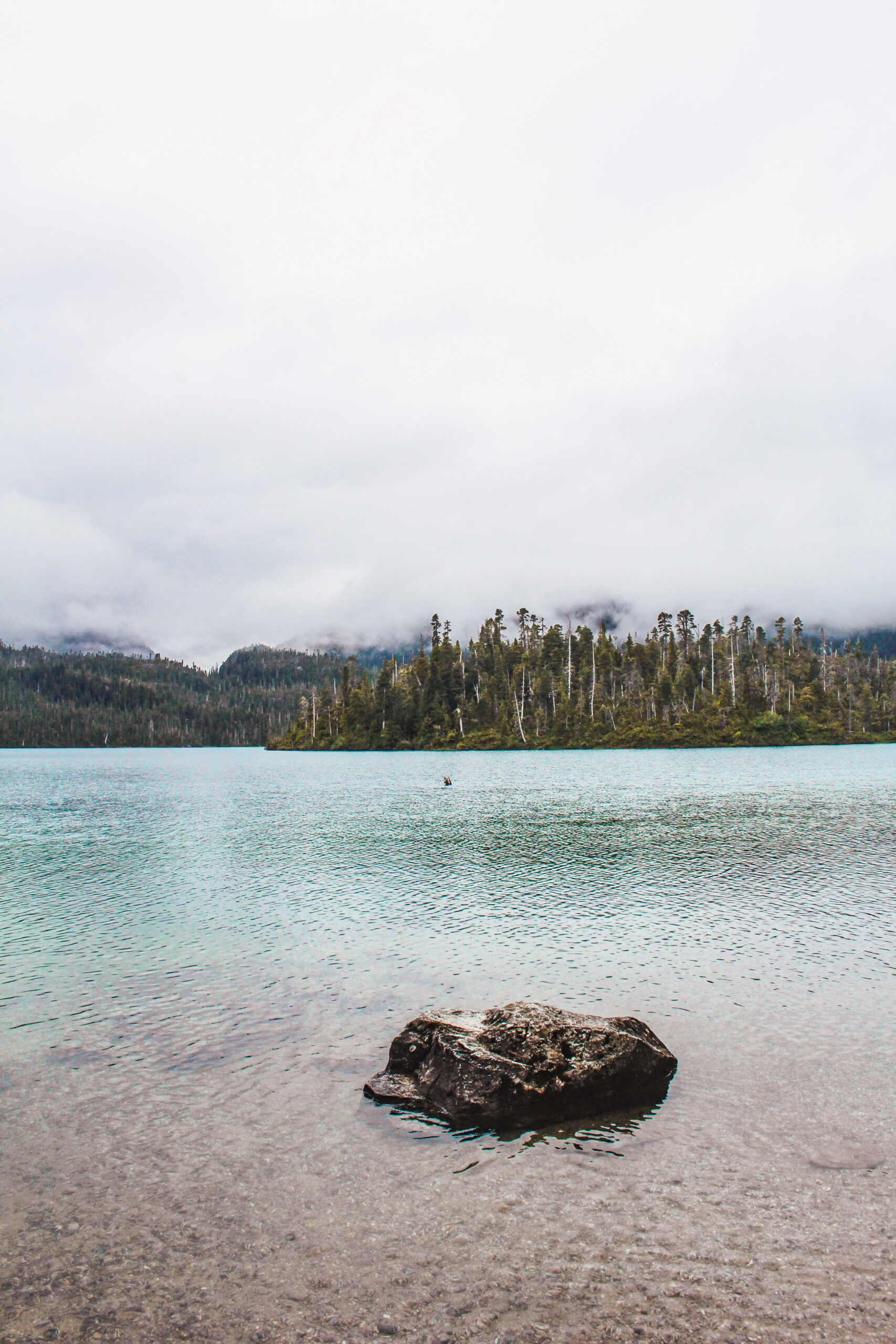 This image is taken from the edge of a lake. There is a medium sized rock protruding from the water in the foreground. Following the rock, the water transitions from brown/translucent (showing the rocks and sand below) to a light blue color. On the other side of the lake are pine trees, and in the distance are mountains shrouded by clouds. This photo was captured on Sitka Island in Alaska, and features the boreal pine tree forests characteristic to the area.