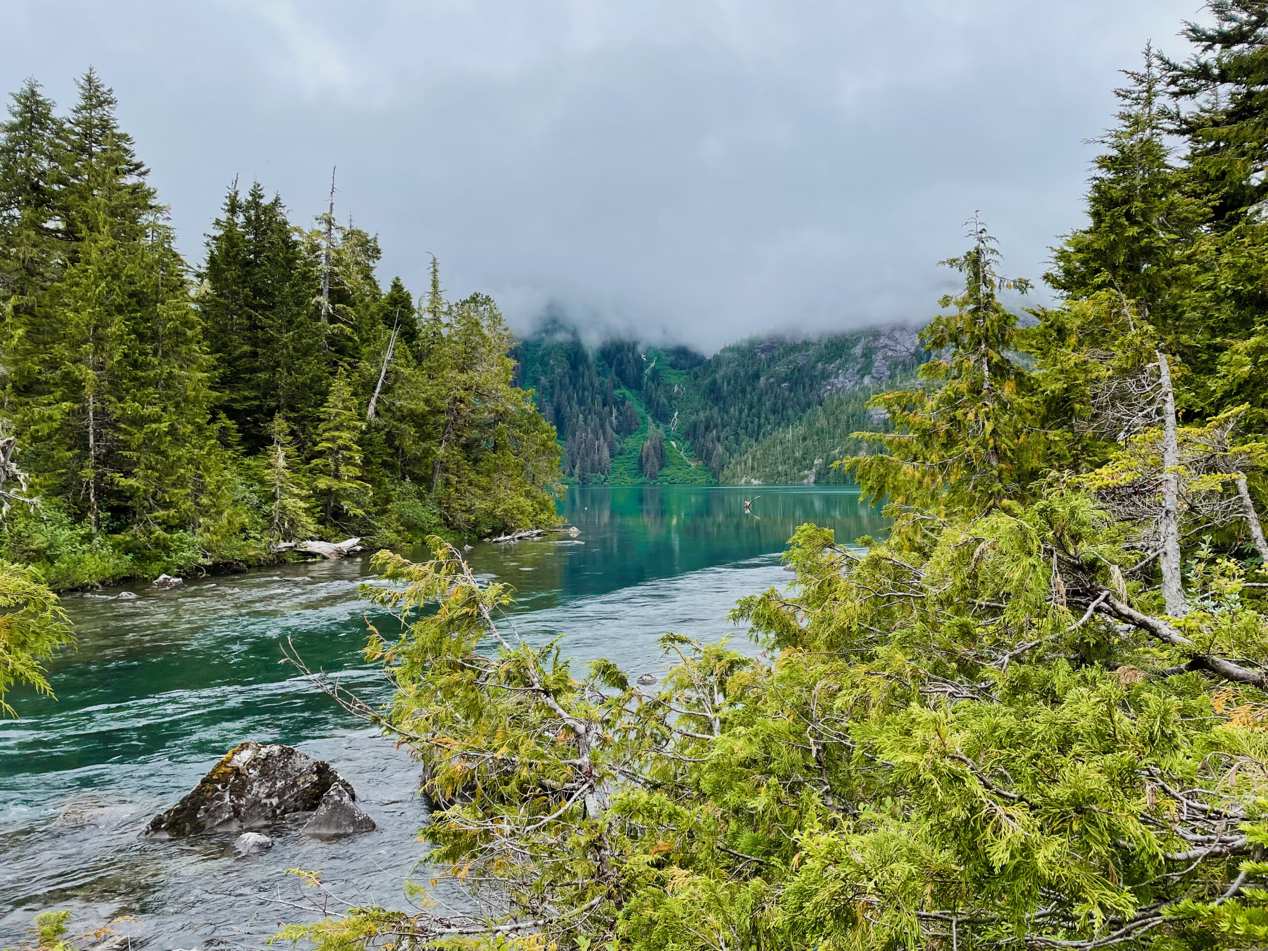 This image was taken near where a lake flows into a river. It was captured on Sitka Island, Alaska, and the lake is surrounded by bright green, evergreen trees representative of the boreal forest in the region. The water is dark blue-green, reflecting the nearby trees. The sky is very overcast. In the foreground of the photo is a bright green tree, and trees of a similar color line the other bank of the river.