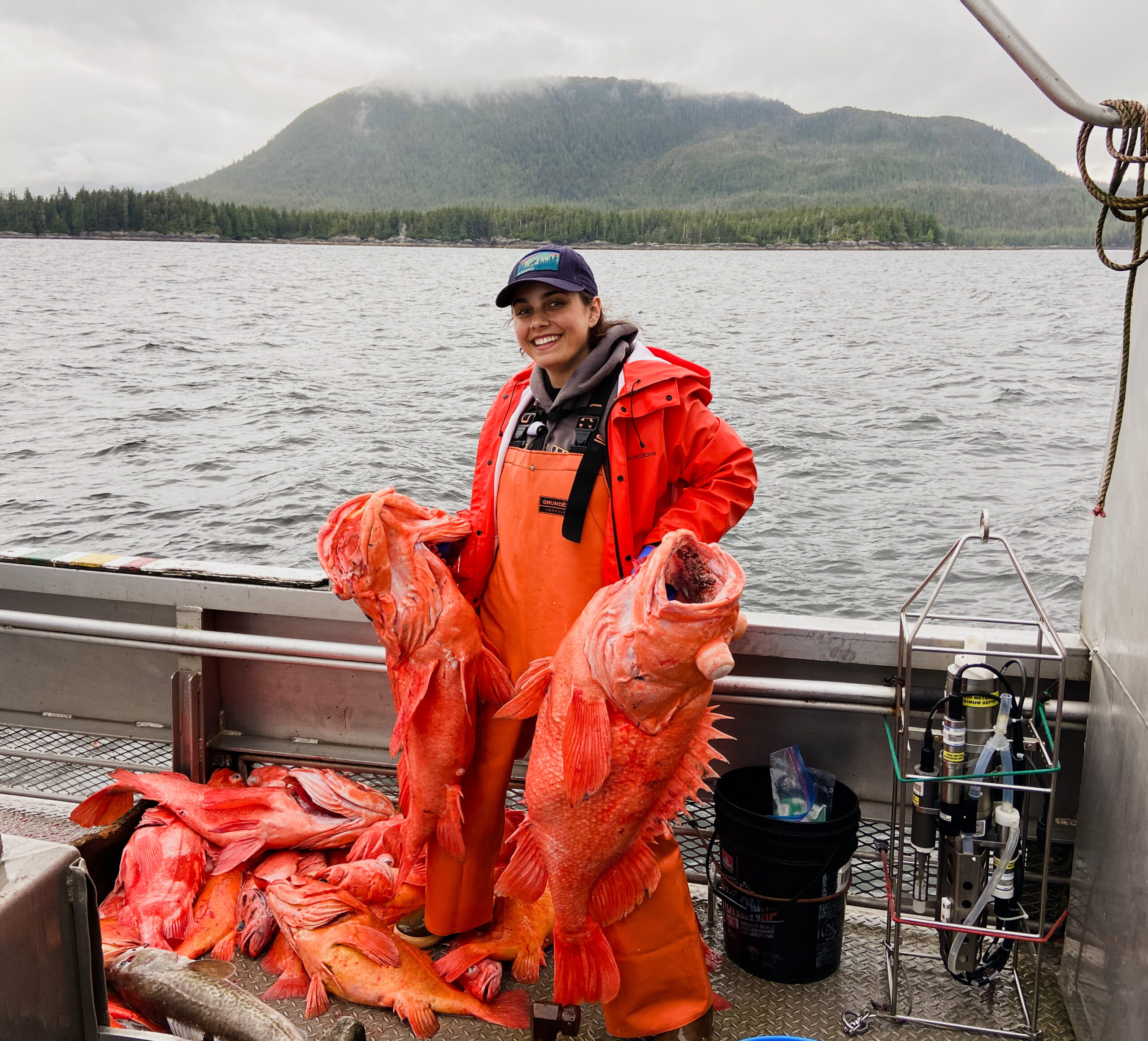 This image features LivInSeas standing on a boat. She's wearing orange fishing overalls and an orange waterproof fishing jacket, with a navy blue ball cap on her head. It's a cloudy day, and the ocean is grey. In the background is a small mountain. She is holding two extremely large, bright orange rockfish (30 pounds each), one in each hand. At her feet is a large number of other orange rockfish.