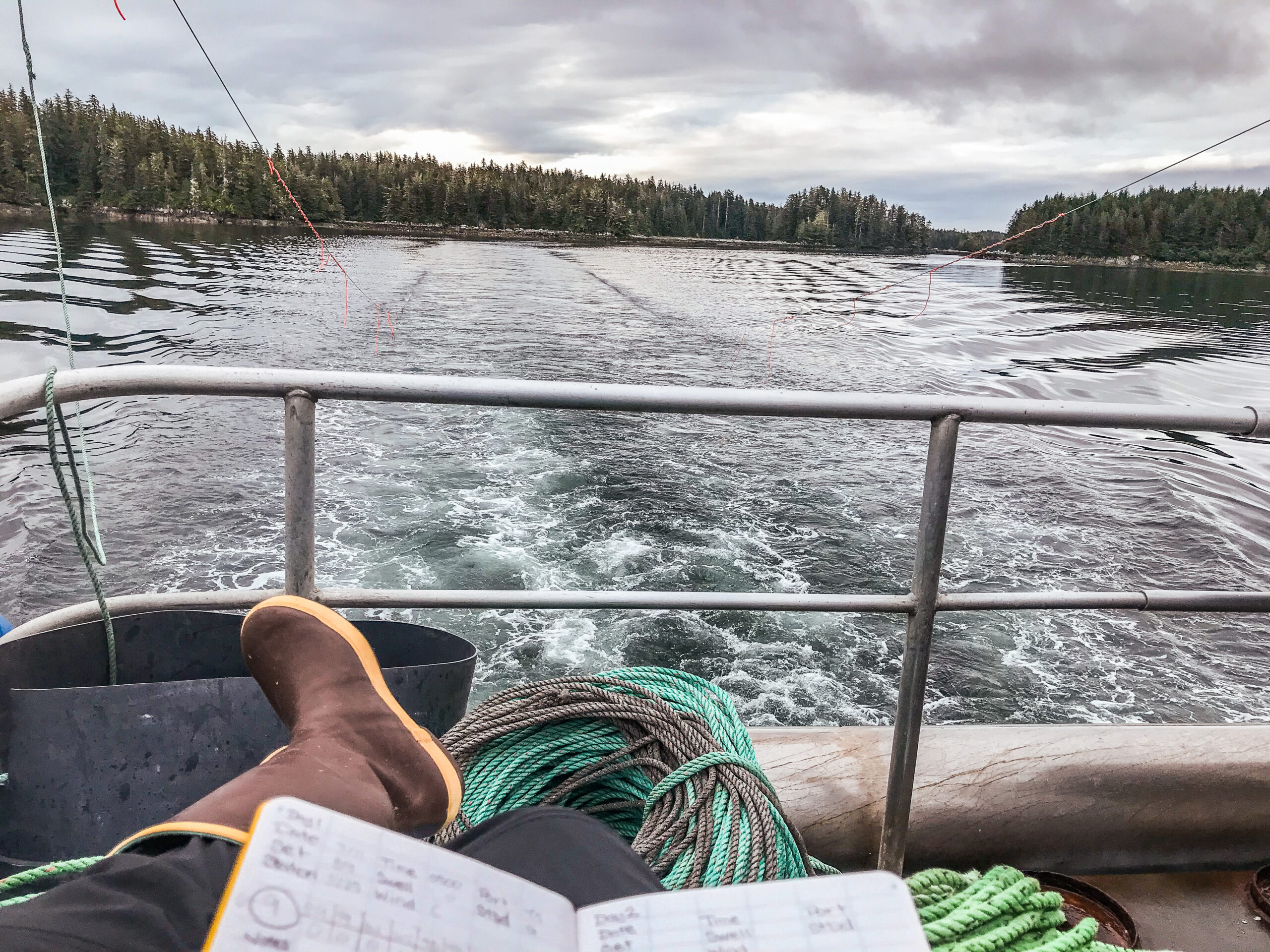 This image was captured on the back of a fishing vote. Visible in the foreground is the top of a logbook, and a crossed pair of legs wearing fishing boots. The photographer is sitting in a pile of ropes. Ahead of the photographer is a railing at the stern of the boat. Two ropes with streamers trail from the back of the boat and into the water, used to deter birds while setting longlines. The water is a dark grey color. The boat is moving through a channel, with land visible on either side and behind the boat. The shores are thickly lined with green trees.