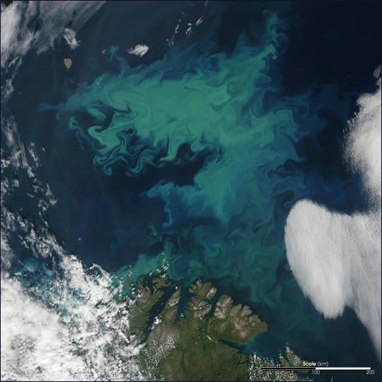 This image shows a phytoplankton bloom captured by a satellite from space. The coast of Norway is visible in the bottom, and the left and right side of the frame are cloudy. The center features a swirly, massive teal patch spanning across the dark blue ocean. It stretches from the coast to many many miles offshore. the teal color of the phytoplankton bloom appears to be richer further offshore.