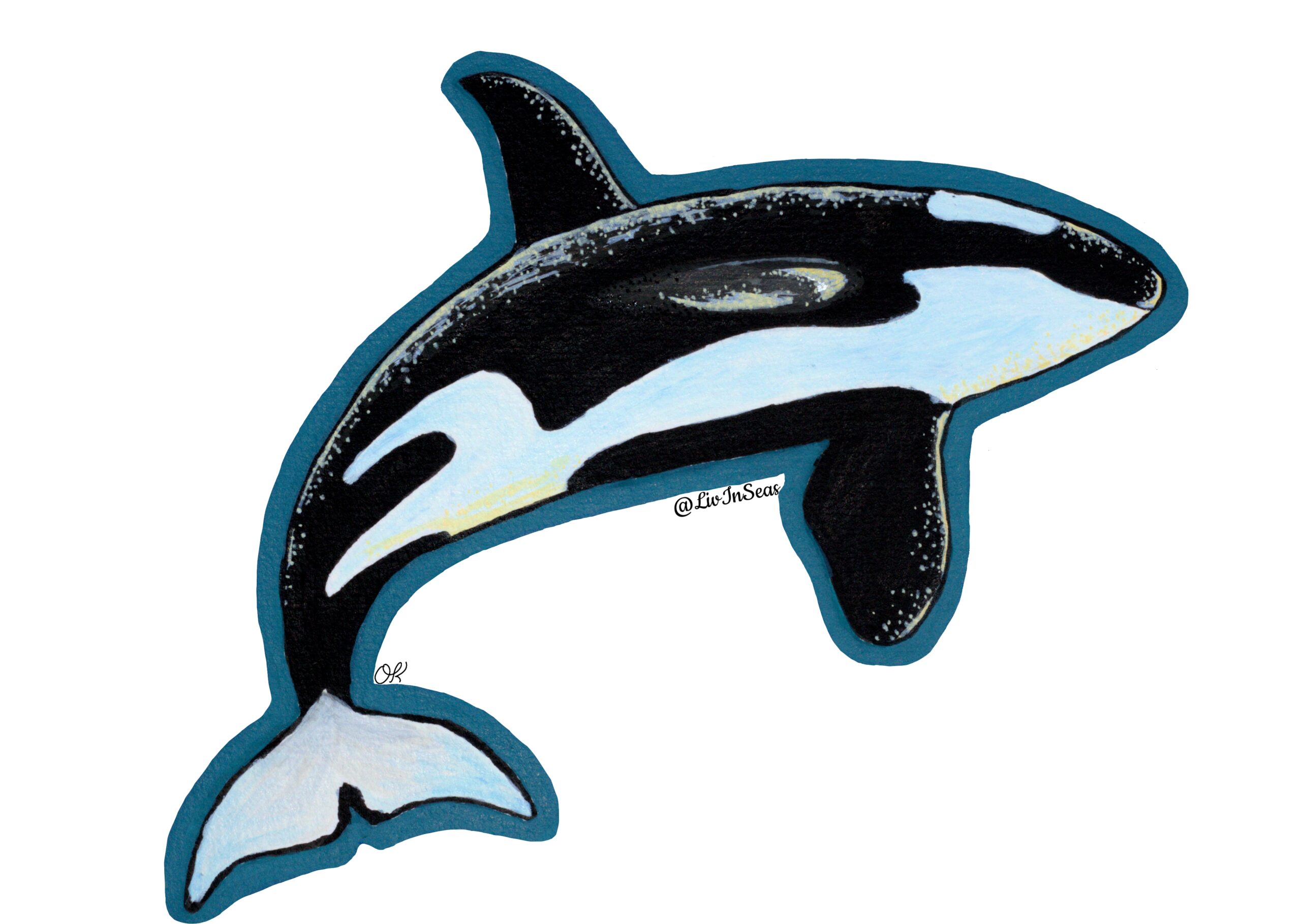 An illustration of an orca by LivInSeas, done with acrylic marker. The orca is leaping to the left, its body arcing and its tail pointed downwards. The orca's belly is visible, white running down the mid section. One fin is pointed downwards, the other is out to the side. The orca has glossy yellow highlights running down its back, along the front of its dorsal and pectoral fins, and along its belly. The orca is surrounded by a teal border.